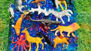 MEGA ANIMALS TOY REVIEW, sea animals, Adventure Force Dinosaurs Safari Animals, aquatic animals