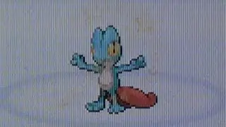 [WSHC] Live Shiny Treecko After 5,074 SRs! (Pokemon Ruby)