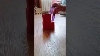 барби 2.0