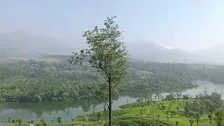 Gap road munnar 