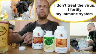Dogs eat DXN Spirulina and drink DXN Cordypine