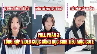 [Phần 3] Tổng Hợp Video Cuộc Sống Của Học Sinh Hướng Nội | Đạt Cũ Kĩ