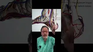 Trumps Venous Insufficiency Can Cause This Condition!- Dr. Bernstein