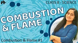 Combustion and flame Class 8 | CBSE #1