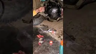 Tata 710 Crown 140oil #mechanic #life #reels #video #hindi #dialogue #song