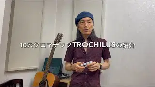 10穴クロマチック・ハーモニカ Trochilus の紹介