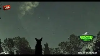 Live Star Gazing, Meteors, and Planes Florida Night Sky