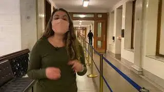Boston Boarded Up in Preparation for 2020 Election Results: Elizabeth Perkin