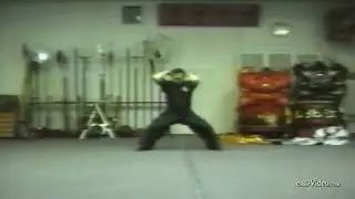 HUNG GAR GUNG GEE FOOK FU SET Vol 1 By Master Buck Sam Kong