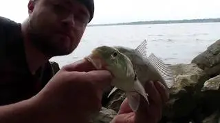 Croaker Fishing York River  STUPID EASY FISHING