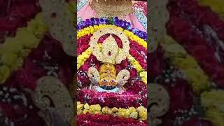 khatu shyam 🙏❤️❤️
