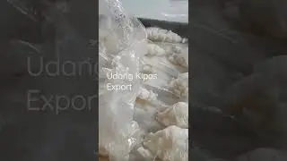 Udang Kipas Export