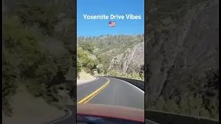 Road Trip Through Yosemite 🌲 #usa #california #roadtrip #travel #sayamstales