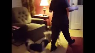 Dogs welcome home owners - The best kind of hello! ❤️