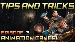 Paladins Tips and Tricks #3 - Counter the [Viktor] Ultimate & Basic Animation Cancelling! (Thiel)