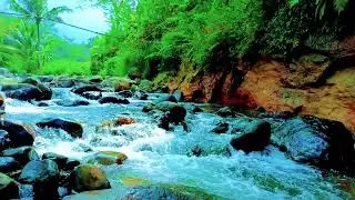 Restful Hidden Forest Ambience with Continuous River Flow for Deep Sleep and Mental Calm