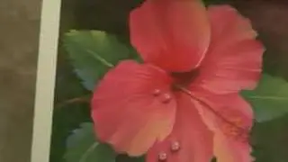 Урок масляной живописи Wilson Bickford Dew Drops