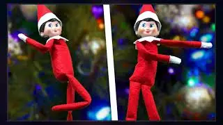 The Elf On The Shelf