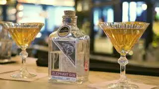 Elephant Gin Dublin Competition at Zozimus Bar