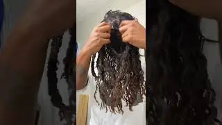 First time doing a braid out on my 4 year old DIY microlocs! #microlocs #locjourney #locs #braidout