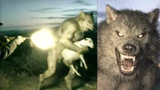 Camera Footage Shows Dogman Terrorizing a Tennessee Farmer&rsquo;s Livestock &mdash; Dogman Stories