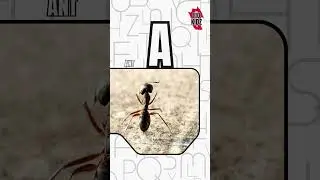 Alphabet Learning Video - Letter A short1 for fio kidz