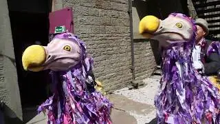 Flying Dodos