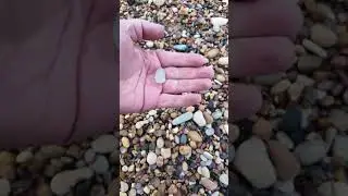 Big Bean glass pebble beach find #beach #beachglass #glassbeach #seaglasshunting