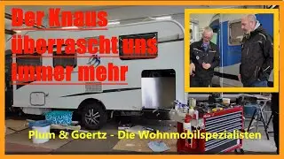 Da ist DER WURM DRIN!!! Nicht nur ein Wasserschaden kann die Struktur schwächen!