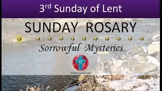 3rd Sunday of Lent &bull; Sorrowful Mysteries of the Rosary 💜 March 23, 2025 VIRTUAL ROSARY - MEDITATION