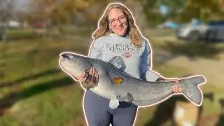 150 POUNDS OF BLUE CATS DC TIDAL BASIN dozen doughnuts for a dozen fish