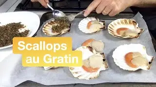 Scallops au gratin in the half shell: an easy way to cook them