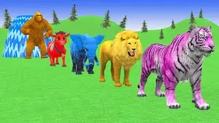 Long Slide Game With Elephant Gorilla Buffalo Hippopotamus Tiger 3d Animal Game Funny 3d Animals