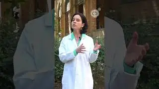 Voc&ecirc; sabe o que &eacute; Linfoma?