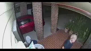 Hilarious moment homeowner's little dog scares off two thieves