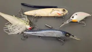 What I'm throwing RIGHT NOW to catch BASS (Late Summer/Fall Transition)