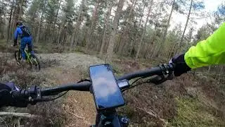 Gulsetmarka 29.4.2021