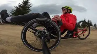 Wild One in National park Kopaonik, Serbia