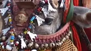 Delhi Blues Video by Jan Fride