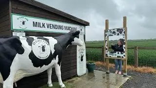 Ox close farm milkshake vending machines 🐄🐮✨