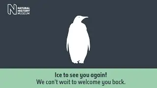 The Natural History Museum at Tring reopens 5 August | Natural History Museum