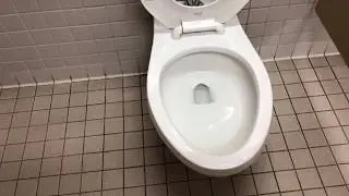33. Gerber Flushometer Wallhung toilet at Sears.