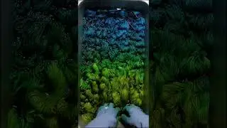 Пряжа, вдохновленная медовым месяцем