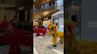 Lion dance for Lunar New Year