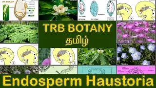 ENDOSPERM HAUSTORIA | PHYSIOLOGY | SAISARAN ACADEMY | TRB | PGTRB | BOTANY | TAMIL | CLASS 12 | NEET