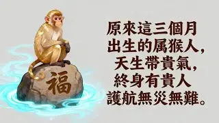 原來這三個月出生的屬猴人，天生帶貴氣，終身有貴人護航無災無難#運勢 #屬相#財運#生肖運勢 #星象智慧#催旺財運 #平安順遂 #傳統智慧 #星羅禪境