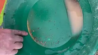 Dr. Peter Megaw on Why Relevant Gold is a Remarkable Opportunity