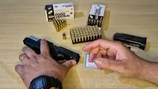 Quanto custa a posse de arma de fogo em 2025