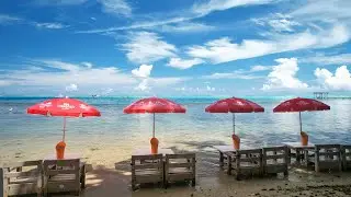 MOOREA - Restaurant Bord de mer