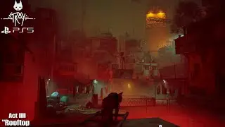 Stray - Rooftop Act IV & Zurks are everywhere 